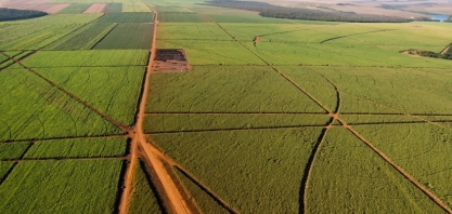 Raízen registra alta de 36,2% na moagem de cana-de-açúcar no 3º do ano-safra 2023/24