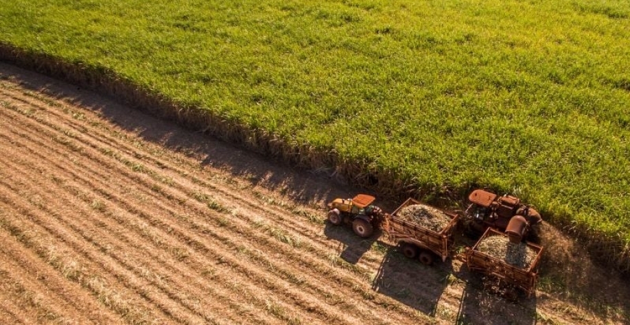 Hoje, mercado se inclina para tendência de baixa, com os resultados positivos do Brasil e o potencial para uma safra forte. Getty Images
