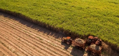 Açúcar na corda bamba: quais são os riscos? Entenda as tendências do mercado