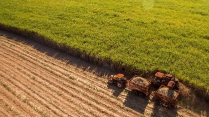 Açúcar na corda bamba: quais são os riscos? Entenda as tendências do mercado