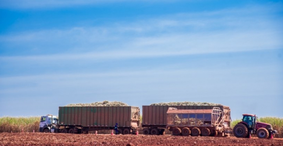 Crédito da imagem: Raízen