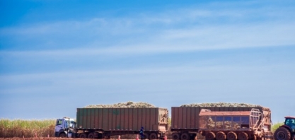 Por que a moagem de cana deverá começar antes em usinas do Centro-Sul 