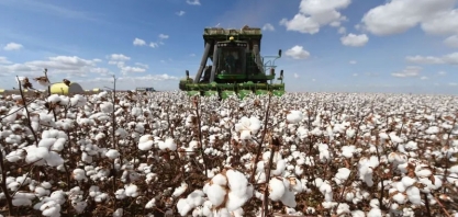 Por que as vendas de máquinas agrícolas encolheram 20% apesar da safra recorde