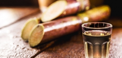 Moagem de cana atinge 4,87 milhões de toneladas na segunda quinzena de dezembro – Unica