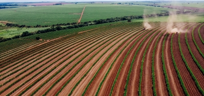 Vagas abertas na Usina Pitangueiras