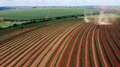 Vagas abertas na Usina Pitangueiras