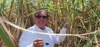 A importância de a irrigação chegar na hora certa e nas variedades de cana mais responsivas