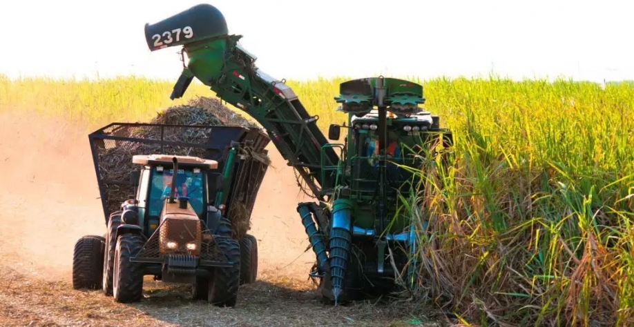 Máquinário trabalha na colheita da cana em área plantada em Mato Grosso do Sul. (Foto: Divulgação/Biosul) 