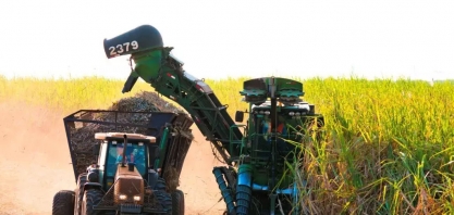 Produção de MS em grãos, algodão e cana é recorde em 2023