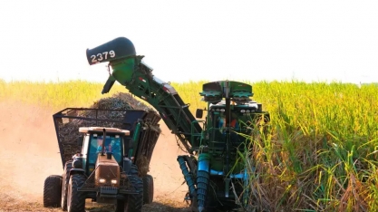 Produção de MS em grãos, algodão e cana é recorde em 2023