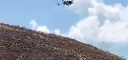 Usina Santo Antônio, em Alagoas, utiliza drones na aplicação de defensivos nas áreas de encosta