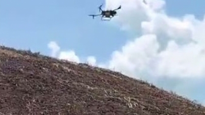 Usina Santo Antônio, em Alagoas, utiliza drones na aplicação de defensivos nas áreas de encosta