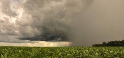 Regiões do centro e do norte do Brasil terão semana marcada por chuvas – Rural Clima