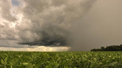 Regiões do centro e do norte do Brasil terão semana marcada por chuvas – Rural Clima