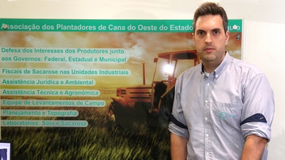 Planejamento pode garantir bons números da safra 2024/25
