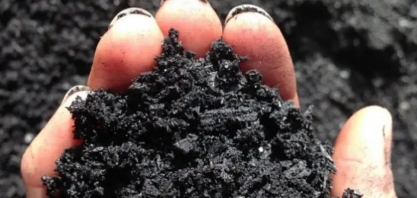 Biocarvão de cana-de-açúcar remedia a contaminação por arsênio em solos