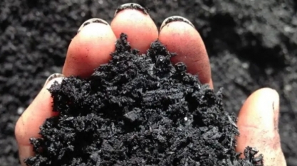 Biocarvão de cana-de-açúcar remedia a contaminação por arsênio em solos