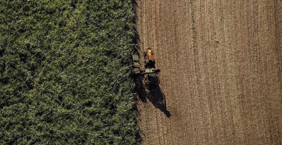 Investimentos turbinaram o rendimento das lavouras de cana-de-açúcar da Raízen — Foto: Globo Rural