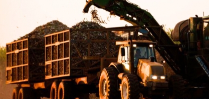 Raízen abre com Citibank US$ 120 milhões de crédito para exportação