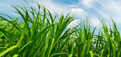 Asplana: ATR do mês de Janeiro