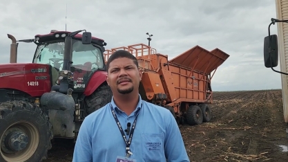 Usina Caeté e o pioneirismo no Nordeste no plantio mecanizado de cana