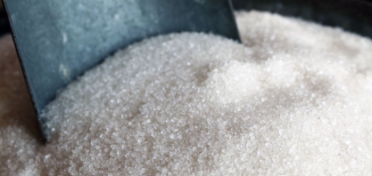 Safra de recordes – mais cana, mais açúcar e mais etanol