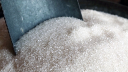 Safra de recordes – mais cana, mais açúcar e mais etanol