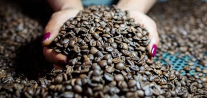 Café arábica avança mais de 3% em Nova York com possibilidade de La Niña