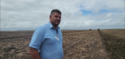 Conferindo o plantio mecanizado de cana na Caeté