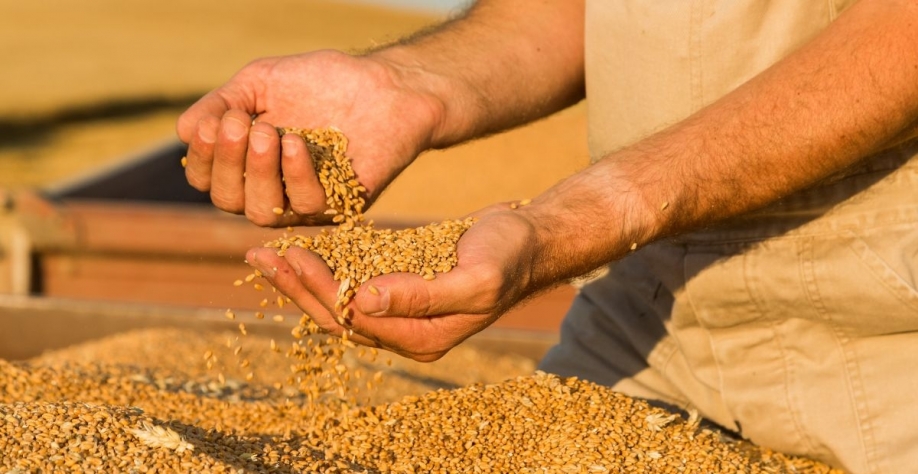 Crédito: Adobe Stock