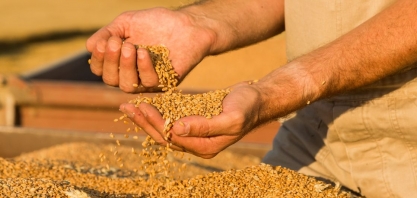 Clima já faz Brasil perder 11 milhões de toneladas de grãos
