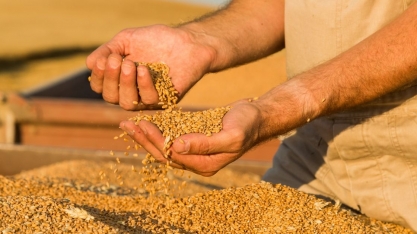 Clima já faz Brasil perder 11 milhões de toneladas de grãos