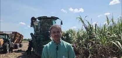 Escassez de mão de obra impulsiona colheita mecanizada no Grupo Santo Antonio, em Alagoas