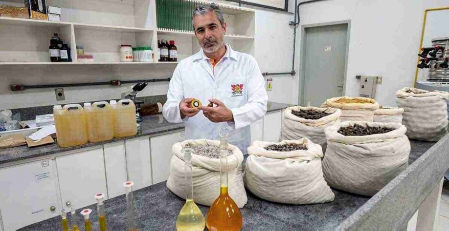 Pesquisador do Departamento de Agronomia da UFV, Leonardo Pimentel está envolvido nos estudos para a implantação do megaprojeto. crédito: Acelen/Divulgação