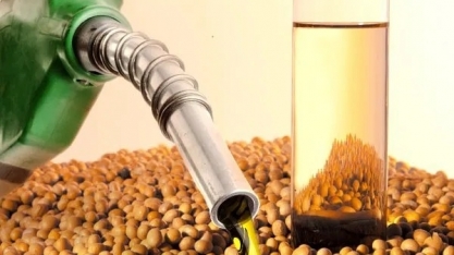 Associações estimam que B20 demandaria 90% da capacidade instalada do setor