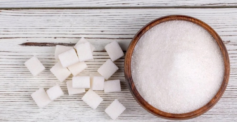 Foto: Envato/Divulgação