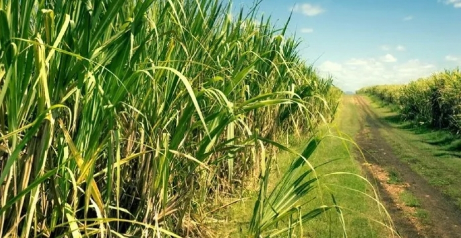 Imagem ilustrativa - Foto: Reprodução/Internet