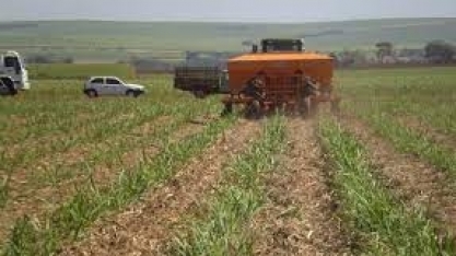 Adubos representaram 34% do mercado de insumos na safra 2022/23, diz estudo