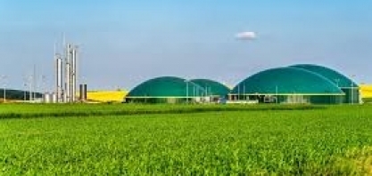 BIOMETANO: Secretaria de Agricultura de SP debate convênio com Minas Gerais e tem apoio do Ministério de Minas e Energia