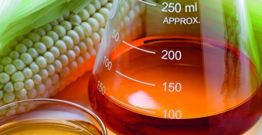 Imea lembra que é preciso ficar atento aos preços do milho, que afetam diretamente a margem bruta de processamento das usinas de etanol — Foto: Getty Images 