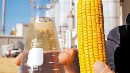 Hidrogênio verde e etanol de milho são apostas para transição energética no Brasil