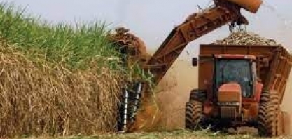 IEA/APTA: balança comercial do agronegócio paulista tem superávit 20,1% maior em janeiro de 2024