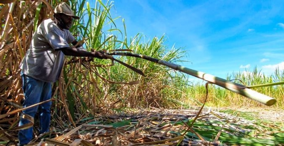 Diego Vargas / Seapa