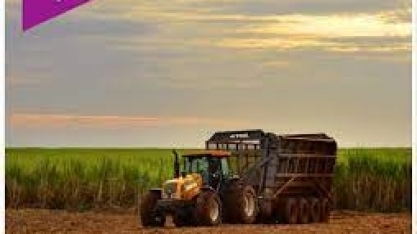 Raízen (RAIZ4) no 3T24: CEO destaca produtividade agrícola, etanol e parceria com Petrobras (PETR4)