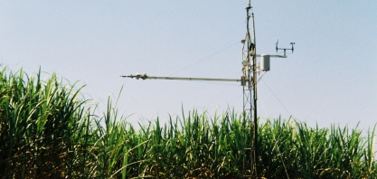 Pesquisa revela avanços no monitoramento dos balanços de carbono e água em cana-de-açúcar