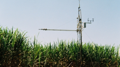 Pesquisa revela avanços no monitoramento dos balanços de carbono e água em cana-de-açúcar