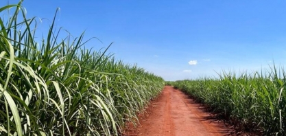 Associados da Canaoeste recebem Certificação Bonsucro