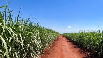 Associados da Canaoeste recebem Certificação Bonsucro