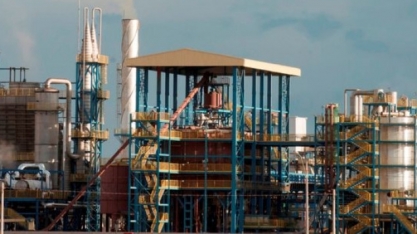 Produção nacional de biodiesel supera 600 mil m³ em janeiro de 2024