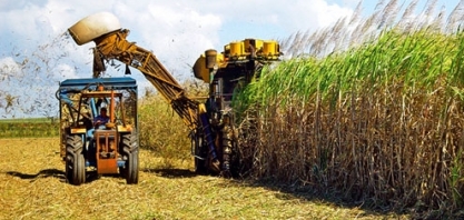 Consecana-AL/SE: ATR de fevereiro praticamente não tem alteração de preço face a janeiro